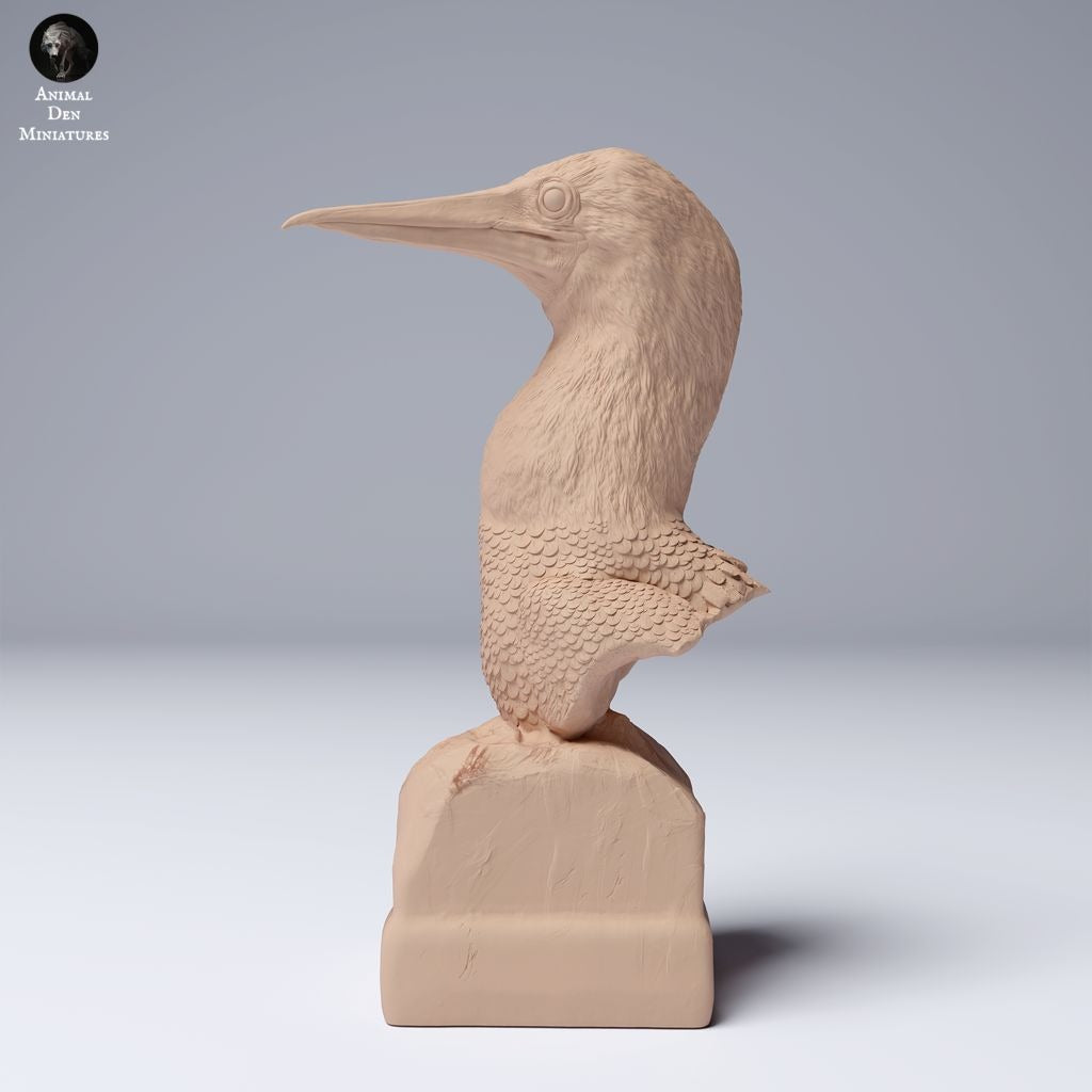Blue Footed Booby Bust - 3d Printed 1:4 Scale Bust Sculpted by Animal Den