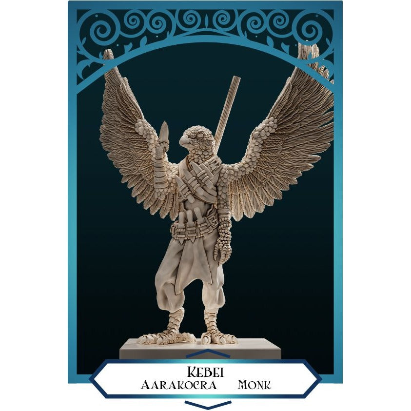 Aarakocra Monk Kebei - 3d Printed Miniature by DND Is A Woman