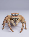 Jumping Spider (Carrhotus xanthogramma) - 3d Printed 6:1 Scale Miniature Sculpted by Animal Den