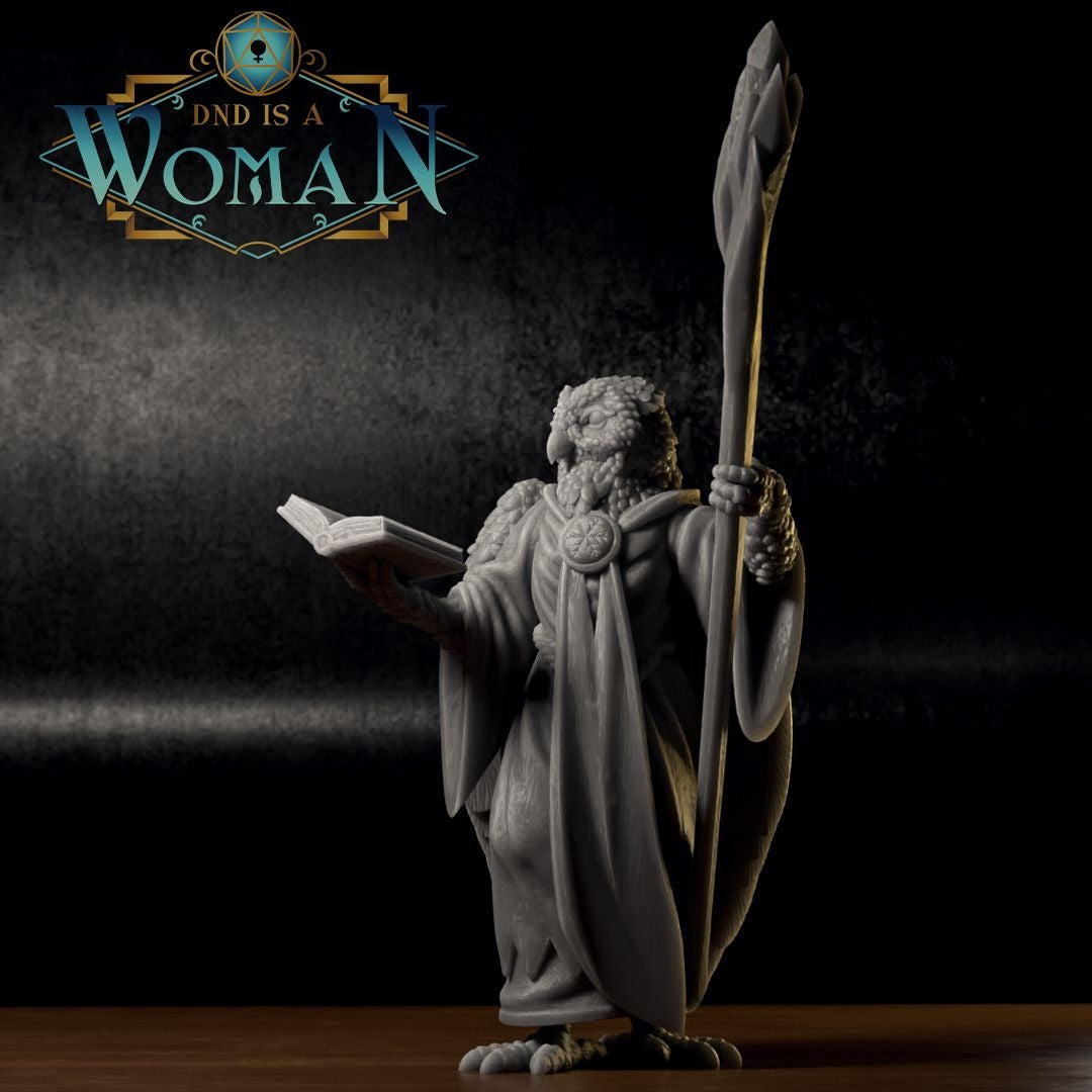 Aarakocra Wizard, Aira - 3d Printed Miniature by DND Is A Woman