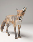 Red Fox - 3d Printed 1:12 Scale Miniature by Animal Den