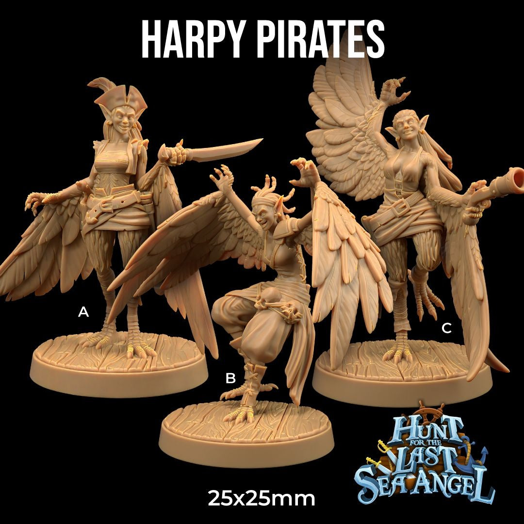 Harpy Pirates - Hunt for the Last Sea Angel - 3d Printed Miniature Sculpted by Dragon Trappers Lodge