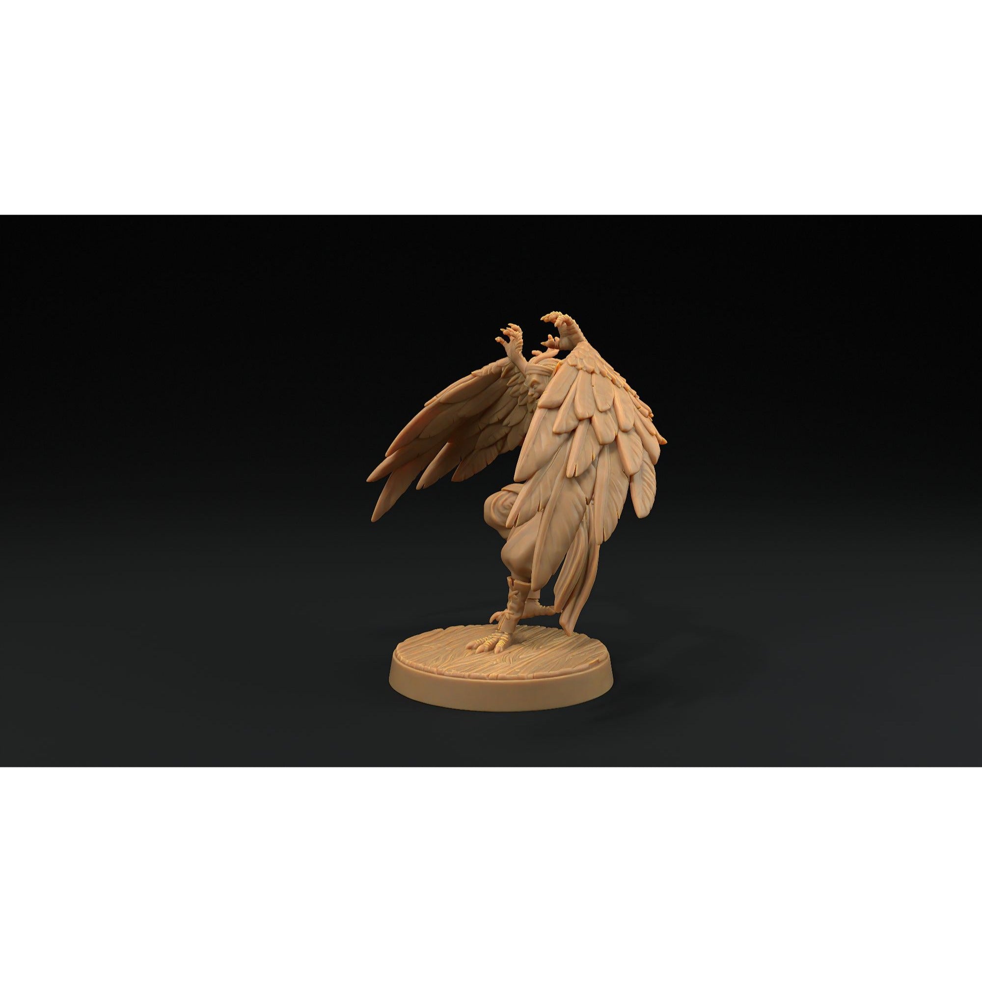 Harpy Pirates - Hunt for the Last Sea Angel - 3d Printed Miniature Sculpted by Dragon Trappers Lodge