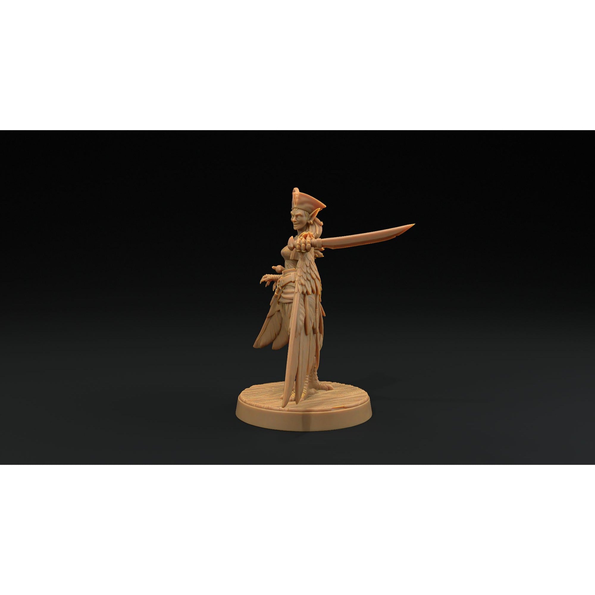 Harpy Pirates - Hunt for the Last Sea Angel - 3d Printed Miniature Sculpted by Dragon Trappers Lodge