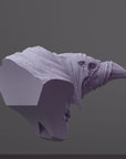Kreak the Flightless Bust - 3d Printed Miniature Sculpted by The Witchguild