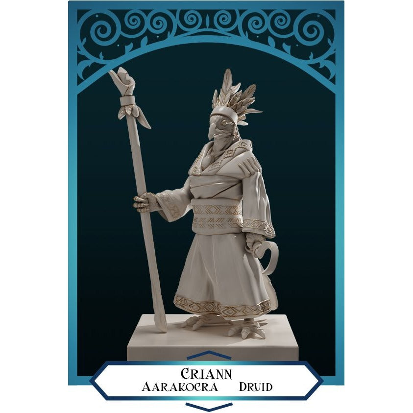Aarakocra Druid Criann - 3d Printed Miniature by DND Is A Woman
