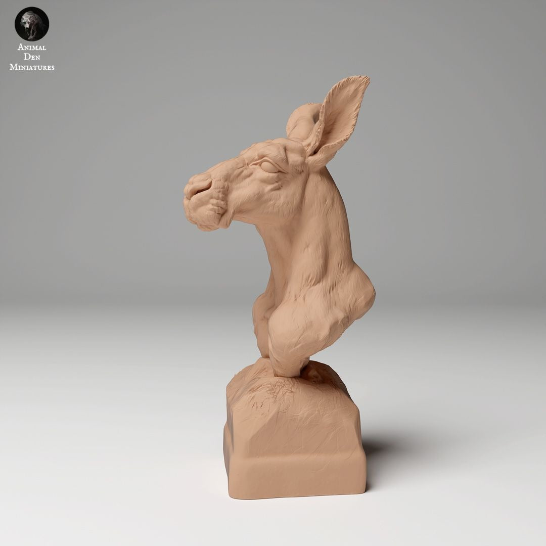 Red Kangaroo Bust - 3d Printed Bust Sculpted by Animal Den