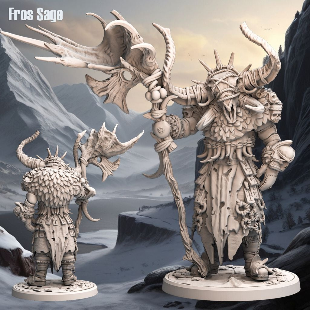 Frost Sage - 3d Printed Miniature Sculpted by Monolith Arts