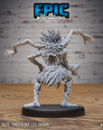 Spider folk
