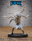 Spider folk