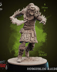 Hobgoblin Raiders