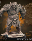 Mountain Ogres