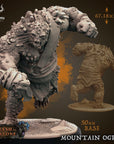 Mountain Ogres