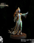 Naesala, Elf Wizard w/ Optional Unicorn Mount