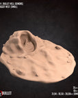 Sand Maggots