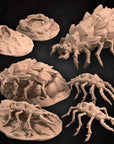 Sand Maggots
