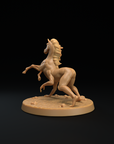 Reverse Centaur