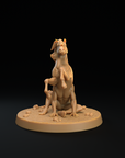 Reverse Centaur