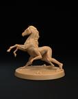 Reverse Centaur