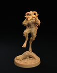 Faun Musician