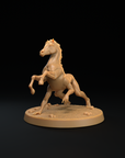 Reverse Centaur