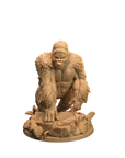 Gorillas