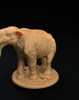 Platybelodon