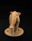 Platybelodon