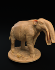Platybelodon