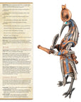 Thoth