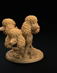 Modular Cerberus