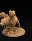 Modular Cerberus