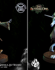 Naesala, Elf Wizard w/ Optional Unicorn Mount