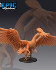 Peacock Griffin / Exotic Gryphon