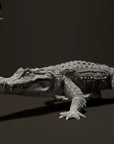 Black Caiman