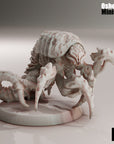 Centipede Larva