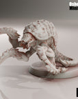 Centipede Larva