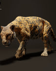 Jaguar