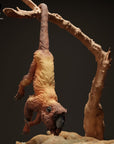 Red Howler Monkey