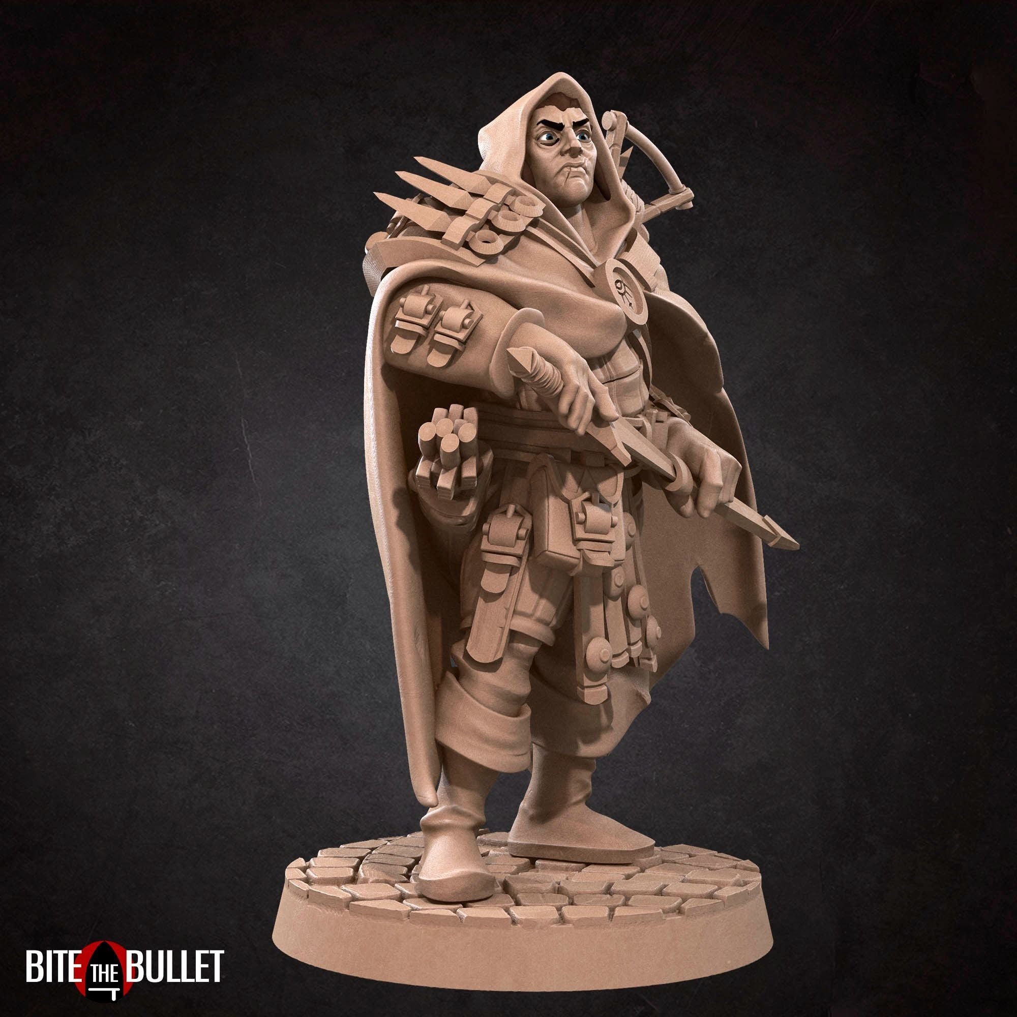 Hero Rogue - Bullet Hell Heroes - 3d Printed Miniature by Bite the Bullet