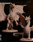 Young Red Dragon - Scales of Greed - 3d Printed Miniature by Arcane Minis