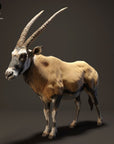 Gemsbok - 3d Printed 1:24 Scale Miniature by Animal Den