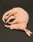 Aardvark - 3d Printed 1:24 Scale Miniature sculpted by Animal Den