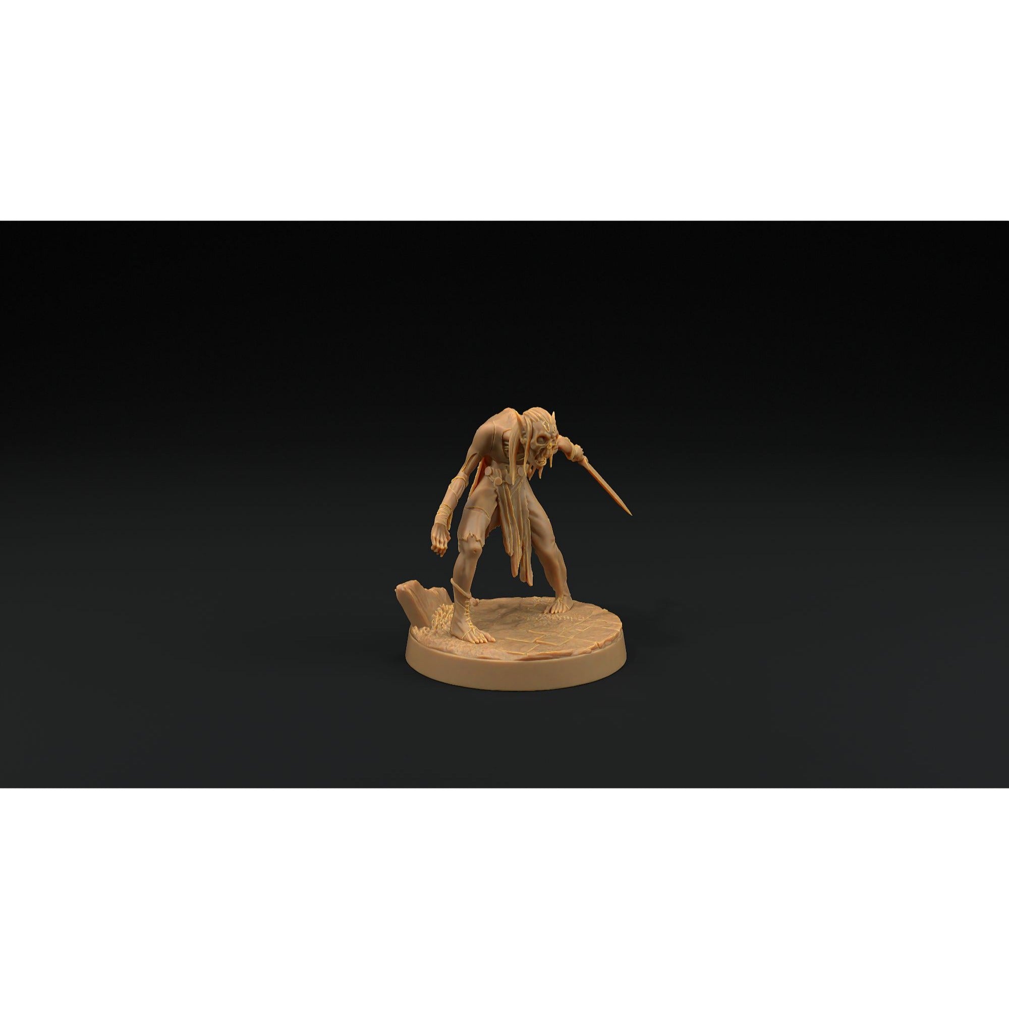 Elven Rogue Zombie - 3d Printed Miniature by Dragon Trappers Lodge