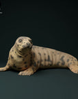 Grey Seal Female - 3d Printed 1:24 Scale Miniature by Animal Den