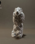 Lion Bust - 3d Printed Bust by Animal Den