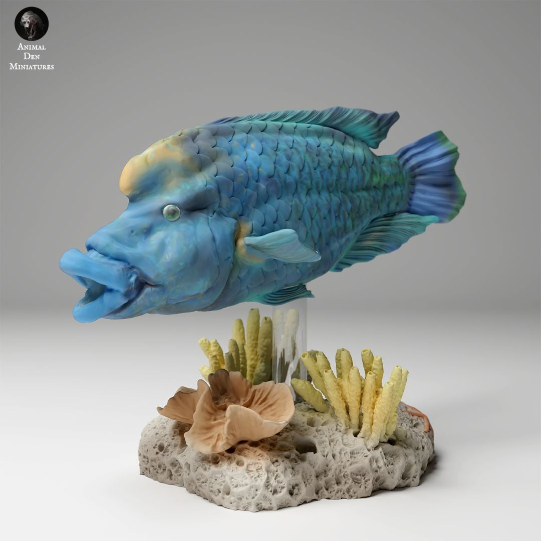 Napoleon Humphead Wrasse - 3d Printed 1/24 Scale Miniature by Animal Den