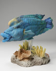 Napoleon Humphead Wrasse - 3d Printed 1/24 Scale Miniature by Animal Den