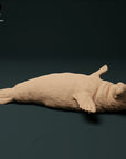 Grey Seal Pup - 3d Printed 1:24 Scale Miniature by Animal Den