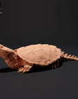 Common Snapping Turtle - 3d Printed 1/24 Scale Miniature by Animal Den